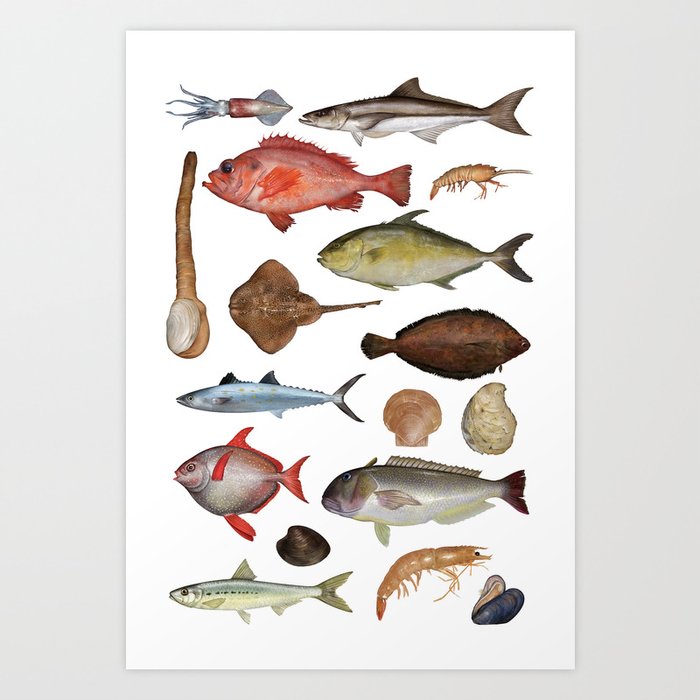 Fish_Poster_02 Art Print