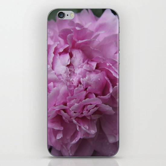 Pink Peony iPhone & iPod Skin