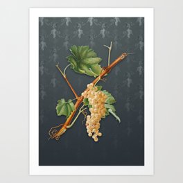 Vintage Vermentino Grapes Botanical Pattern on Slate Gray Art Print | Summer, Spring, Vintage, Nature, Botanicals, Botanical, Rose, Florals, Garden, Painting 