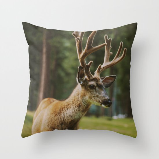Joseph Throw Pillow