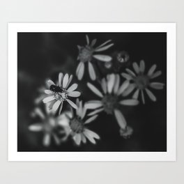 matte finish art prints society6