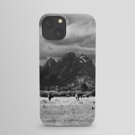 Horse and Grand Teton (Black and White) iPhone Case