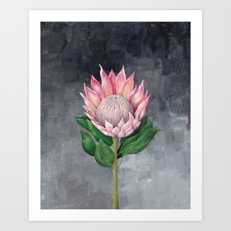 Protea Flower Painting Art Print By Hannah Pickering Art Society6