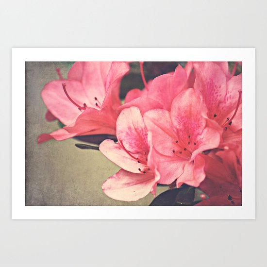 Strawberry Flowers Art Print