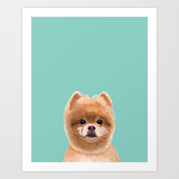 Pomeranian gifts dog lovers shop