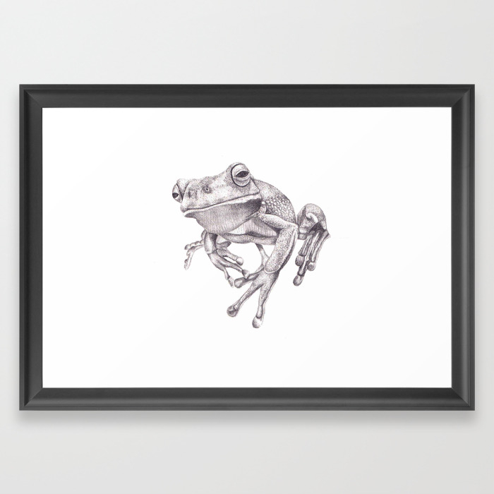 Pencil Drawing White Lipped Tree Frog Framed Art Print By Jenniea13 Society6