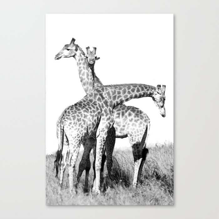 Dancing Giraffe  Canvas Print