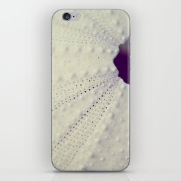 Sea Urchin iPhone Skin