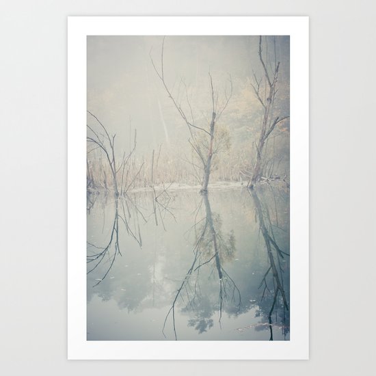 foggy morning at the lake Art Print
