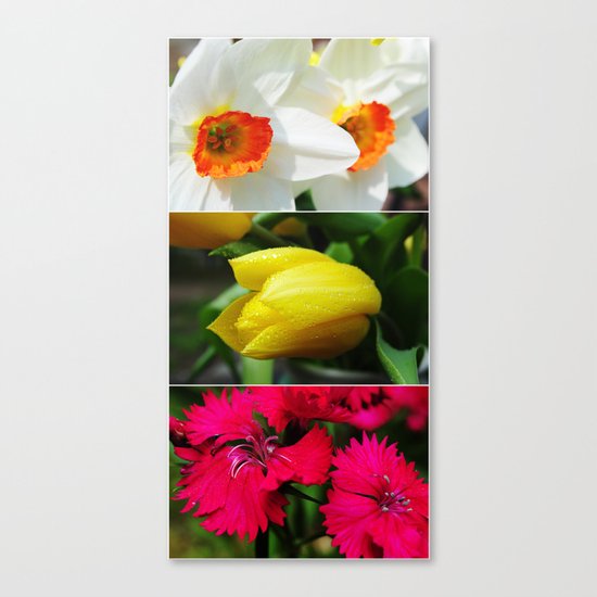 Flower Triptych Canvas Print