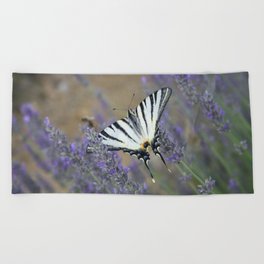 Lavender Flowers And A Beautiful Butterfly Photograph Beach Towel