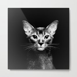 Abyssinian cat portrait black and white Metal Print | Kitten, Feline, Catart, Abyssiniancat, Catdesign, Blackandwhite, Bohemian, Cutecat, Felineart, Kitty 