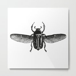 Bug 2 Metal Print | Animal, Insect, Insecto, Egypt, Beetle, Painting, Bicho, Egipto, Escarabajo, Bug 