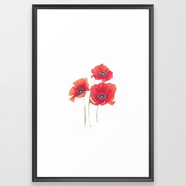 Red Poppies Framed Art Print