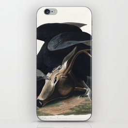 Black Vulture, or Carrion Crow from Birds of America (1827) by John James Audubon iPhone Skin
