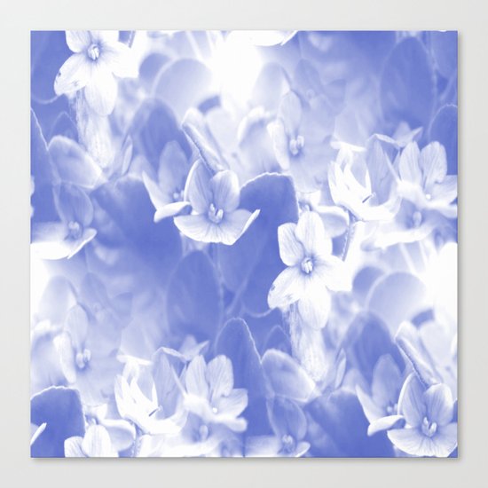 Nostalgic Flowers Canvas Print