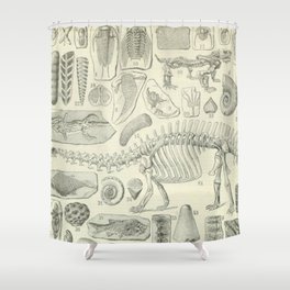 Fossil Chart Shower Curtain