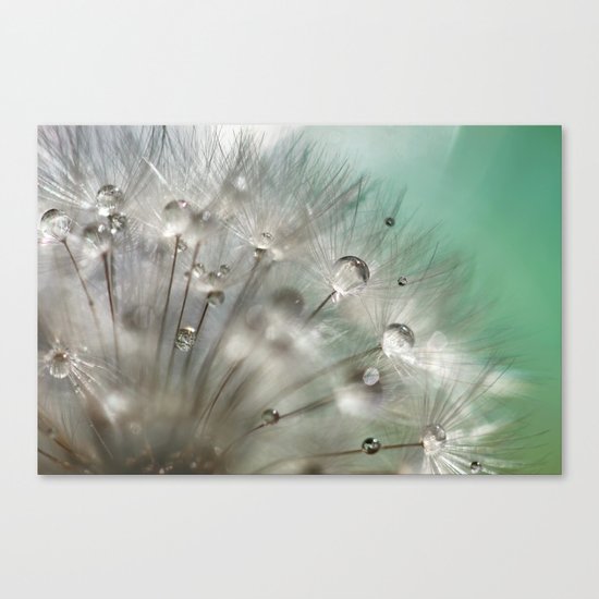 Silver Mint Dandelion Canvas Print