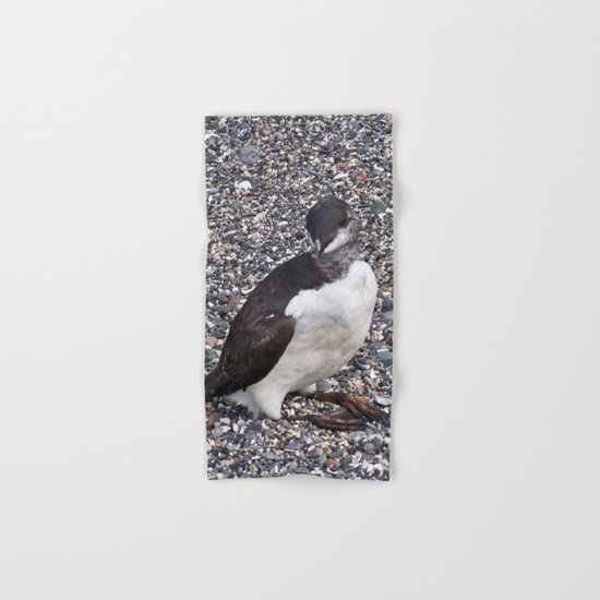 Razorbill Walking on the Beach Hand & Bath Towel
