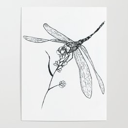 Dragonfly quick sketch Poster