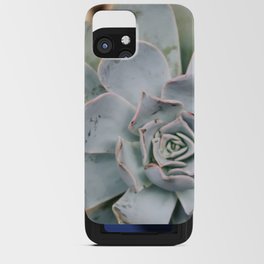 Mexico Photography - The Echeveria Lilacina Plant iPhone Card Case