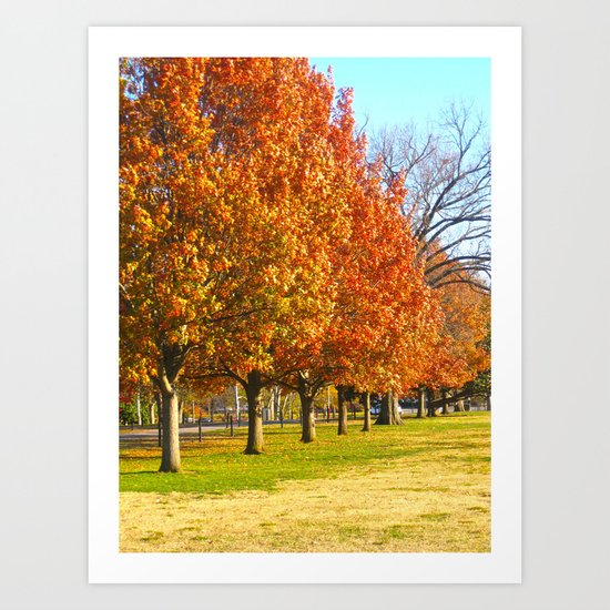 Autumn Trees Art Print
