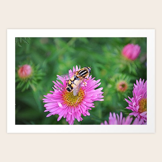 bee Art Print