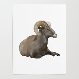 Lazy Ram Goat Poster