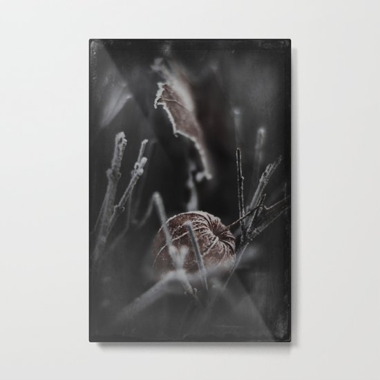 black frOst Metal Print