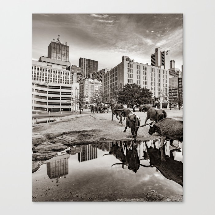 Texas Longhorns Cattle Drive And Dallas City Reflections In Sepia Canvas Print