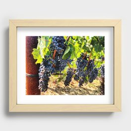 Vineyard Grapes Recessed Framed Print