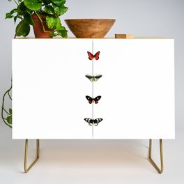 Vintage Butterfly Print - Adolphe Millot Poster Credenza