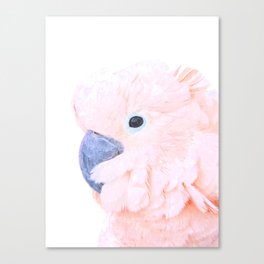 Pink Cockatoo Portrait Canvas Print