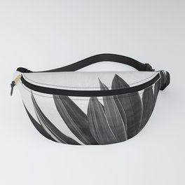 Agave Cactus Black & White Fanny Pack