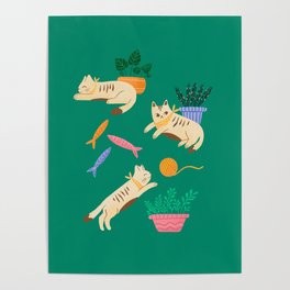 Cats and plants Poster