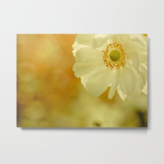 The last flower of autumn Metal Print