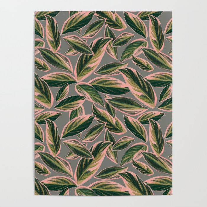Calathea Leaves Pattern- Pink Green Gray Poster