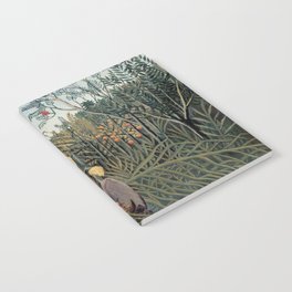 In A Tropical Forest Notebook