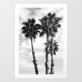 Palm Trees Black White #1 #wall #art #society6 Art Print