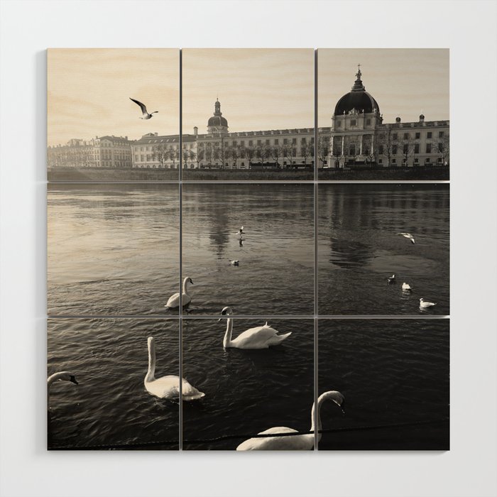 Lyon | Beautiful City in France | Black and White Photography  Wood Wall Art