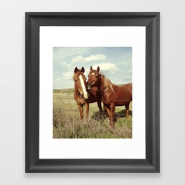 Horse Affection Framed Art Print