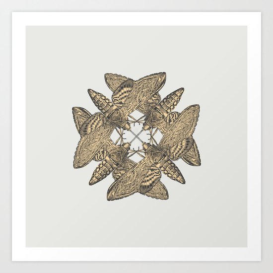 Motte Art Print
