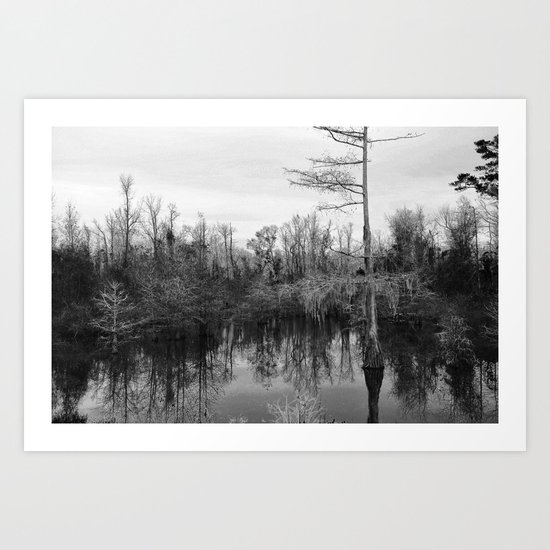 Mississippi Swamp Art Print