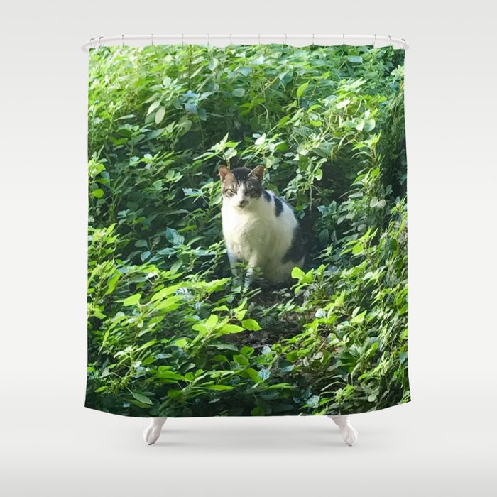 Cat in the Leaves Shower Curtain