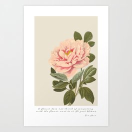 Pink Peony graphic print with quote Art Print