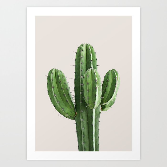 Cactus 4 Art Print