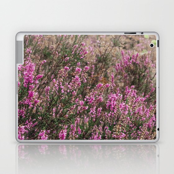 Dutch Heather field - Nature in the Netherlands - Posbank, Veluwe - Purple flower image Laptop & iPad Skin