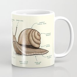Anatomy of a Snail Mug