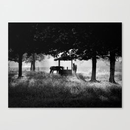 Sunrise Ranch Canvas Print