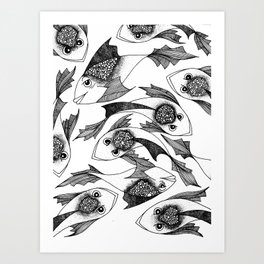 Fish Paradigm Art Print